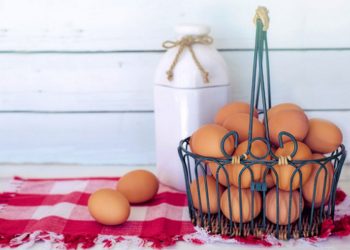 Manfaat Telur untuk Kesehatan