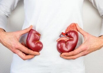 Pantangan makanan penderita ginjal