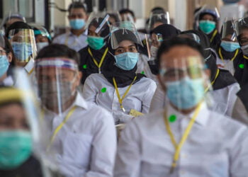 Pengumuman Kelulusan CPNS 2019